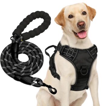 Arnés y Correa para Perros Grandes | Talla L | Durable 💪