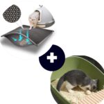 Diseño sin título – 2025-11-26T192522.951